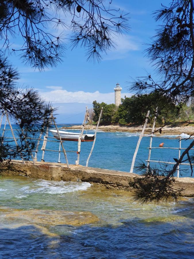 Lavanda Samarin Zambratija  Luaran gambar